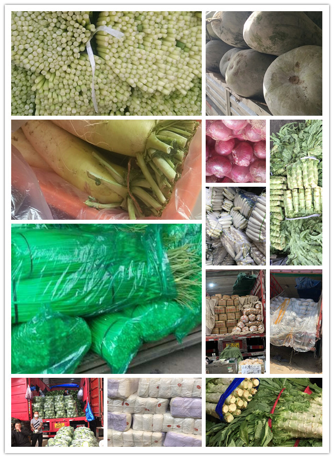 rb88随行版-rb88手机随行版登录入口