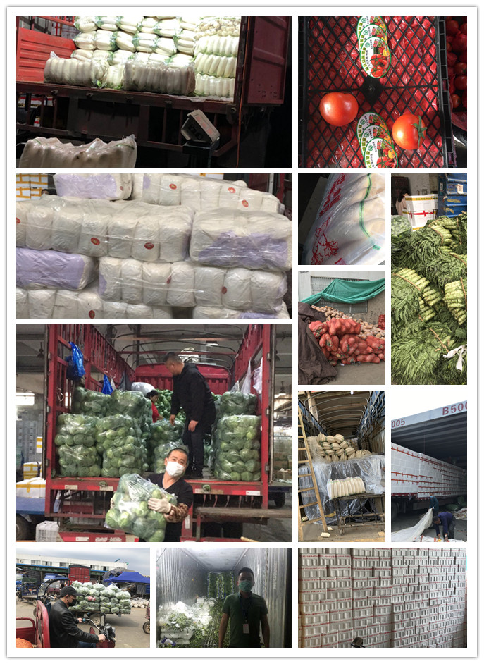 rb88随行版-rb88手机随行版登录入口