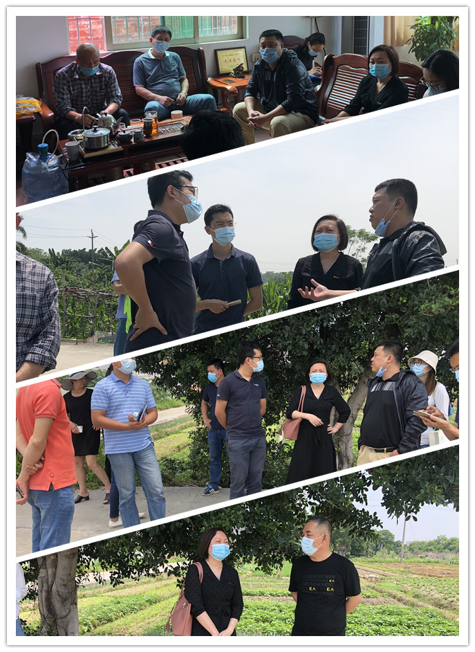 rb88随行版-rb88手机随行版登录入口