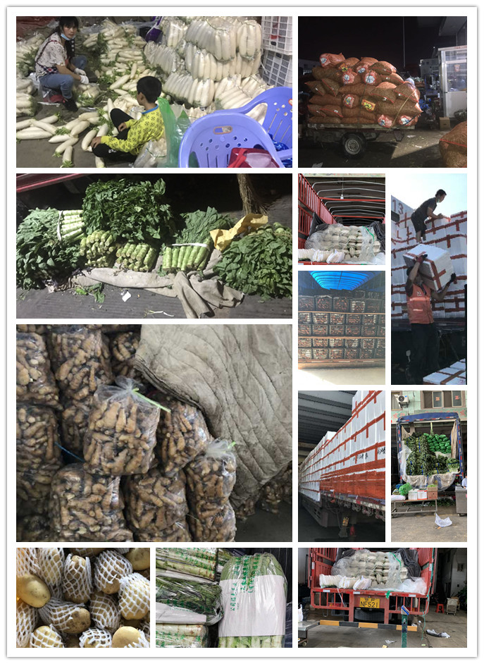 rb88随行版-rb88手机随行版登录入口