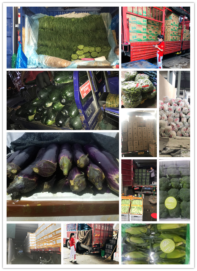 rb88随行版-rb88手机随行版登录入口