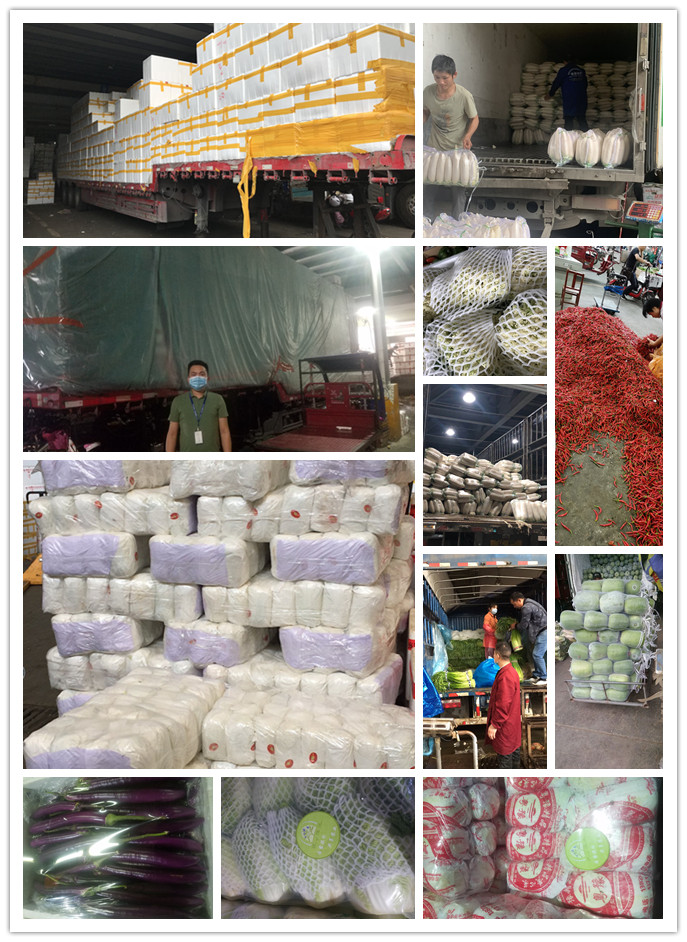 rb88随行版-rb88手机随行版登录入口