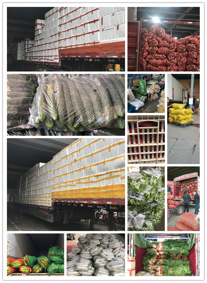 rb88随行版-rb88手机随行版登录入口