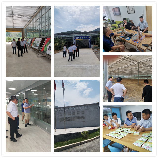 rb88随行版-rb88手机随行版登录入口