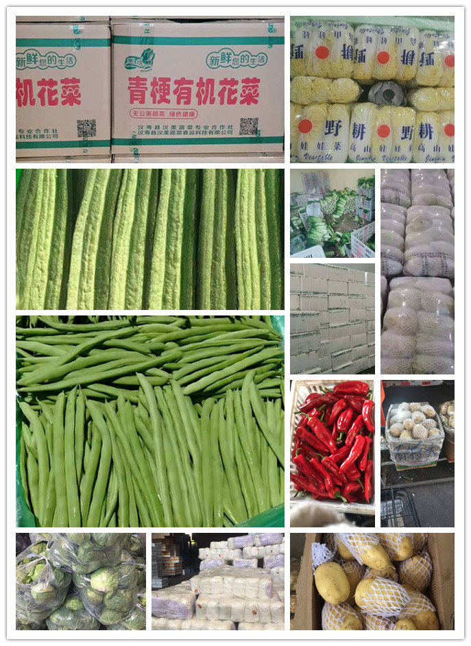 rb88随行版-rb88手机随行版登录入口