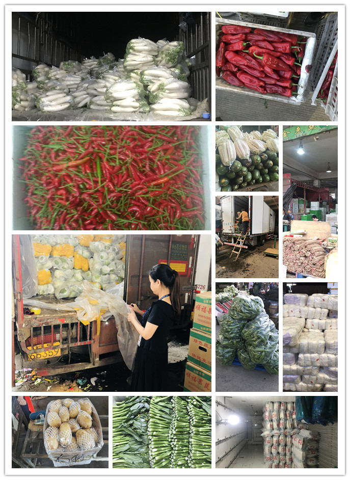 rb88随行版-rb88手机随行版登录入口