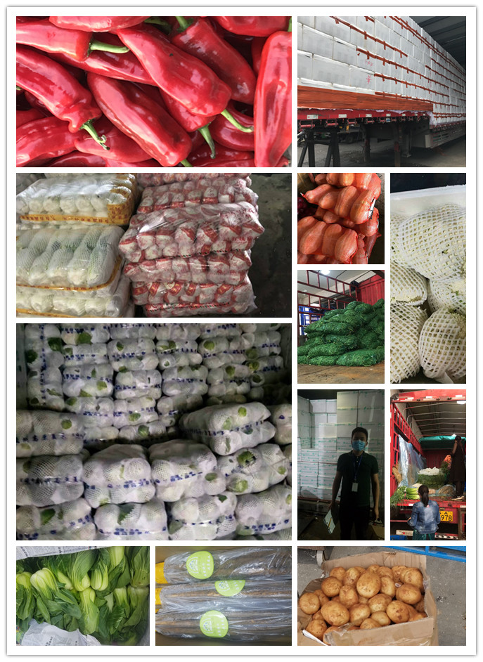 rb88随行版-rb88手机随行版登录入口