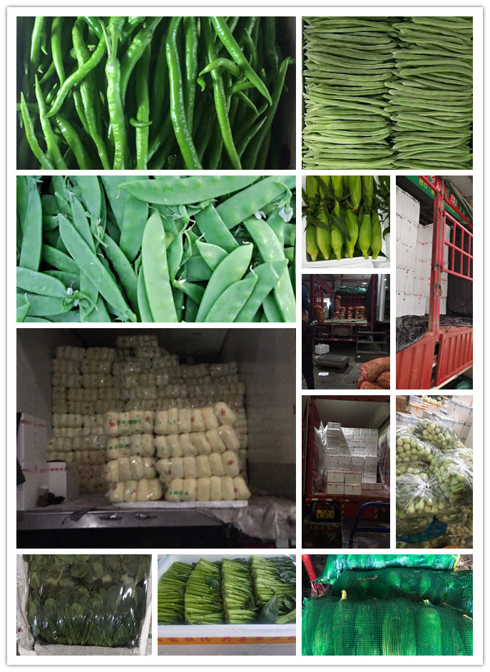 rb88随行版-rb88手机随行版登录入口