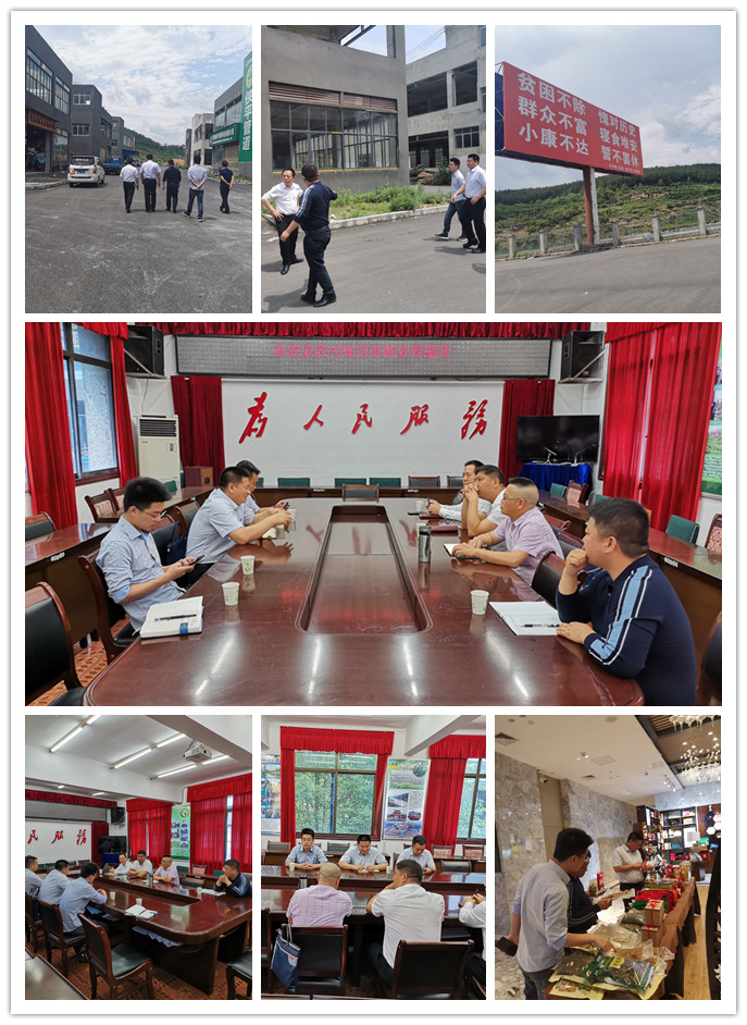 rb88随行版-rb88手机随行版登录入口