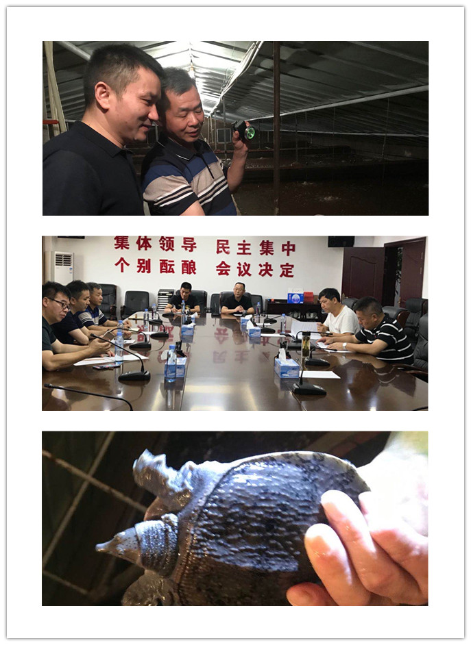 rb88随行版-rb88手机随行版登录入口