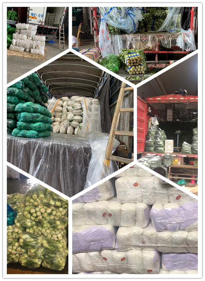 rb88随行版-rb88手机随行版登录入口