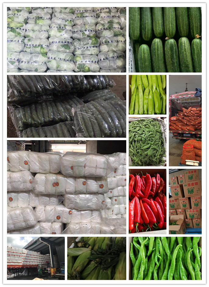 rb88随行版-rb88手机随行版登录入口