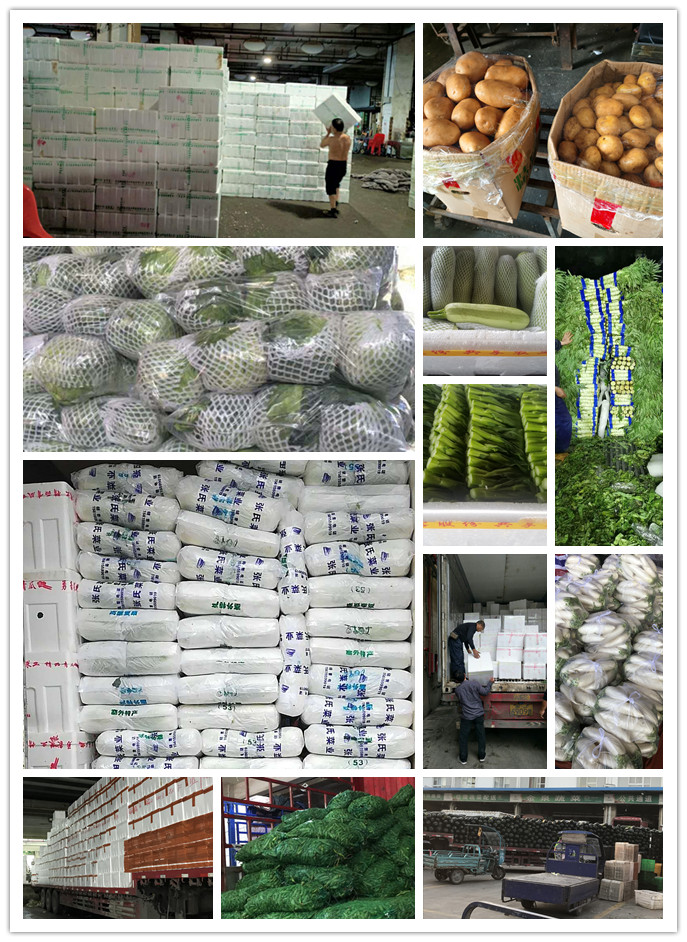 rb88随行版-rb88手机随行版登录入口