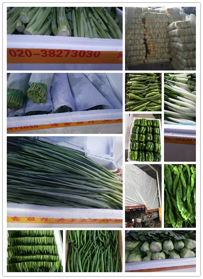 rb88随行版-rb88手机随行版登录入口