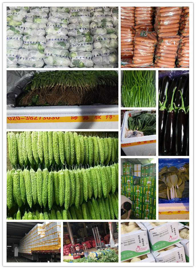 rb88随行版-rb88手机随行版登录入口