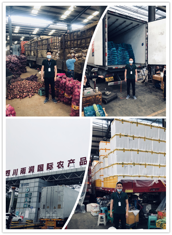 rb88随行版-rb88手机随行版登录入口