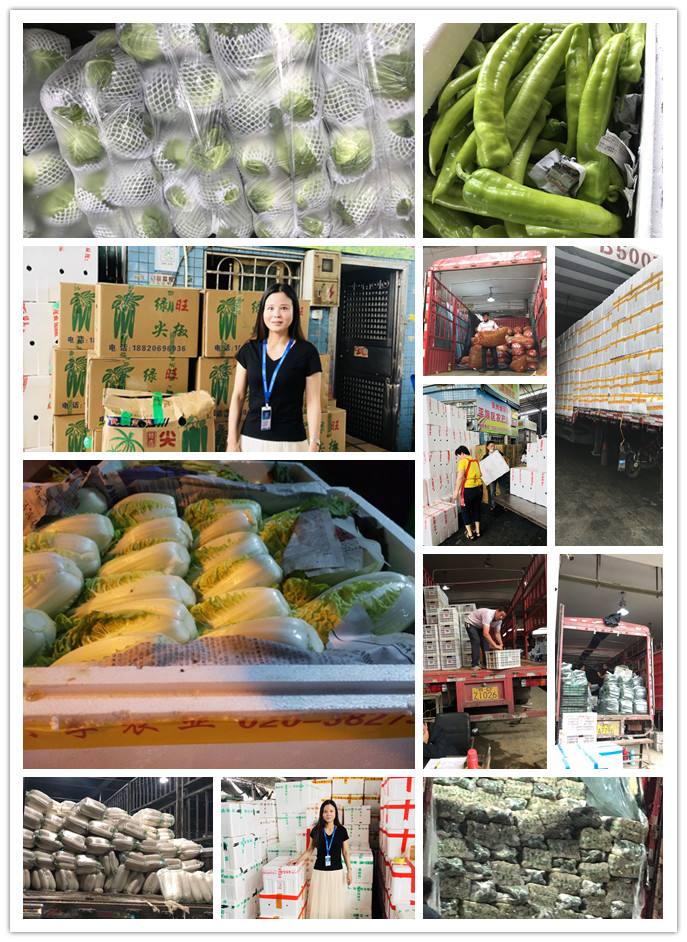 rb88随行版-rb88手机随行版登录入口