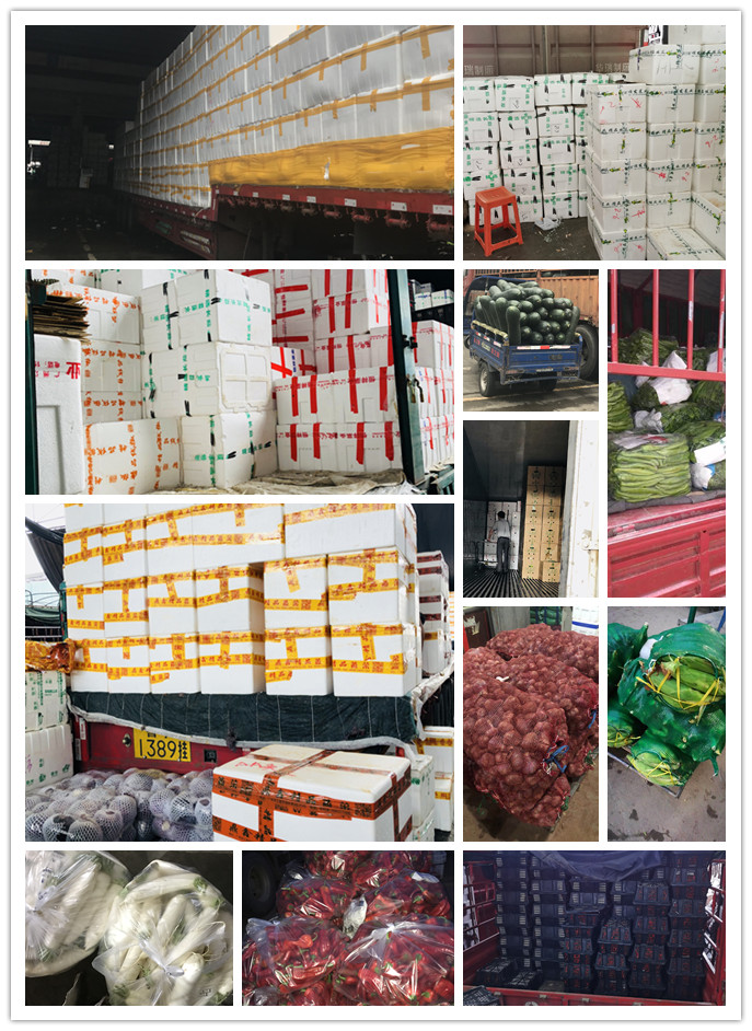 rb88随行版-rb88手机随行版登录入口