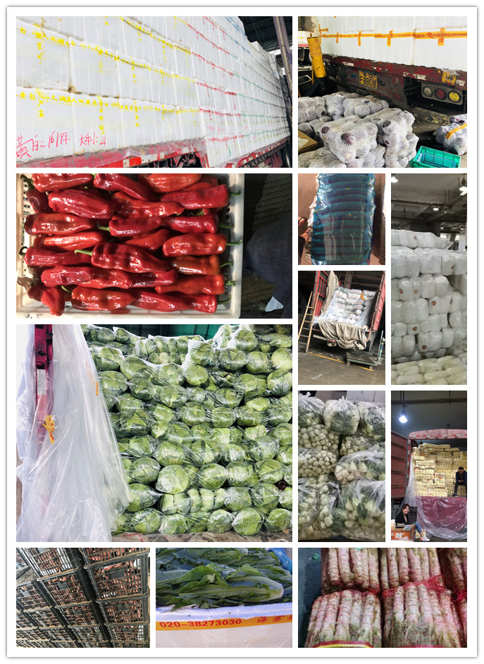 rb88随行版-rb88手机随行版登录入口