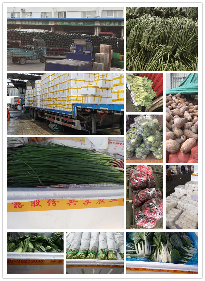 rb88随行版-rb88手机随行版登录入口