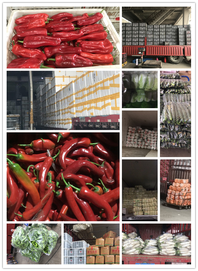 rb88随行版-rb88手机随行版登录入口