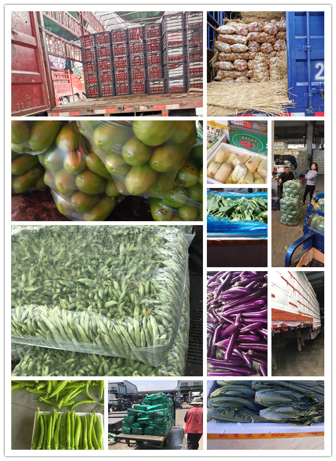 rb88随行版-rb88手机随行版登录入口