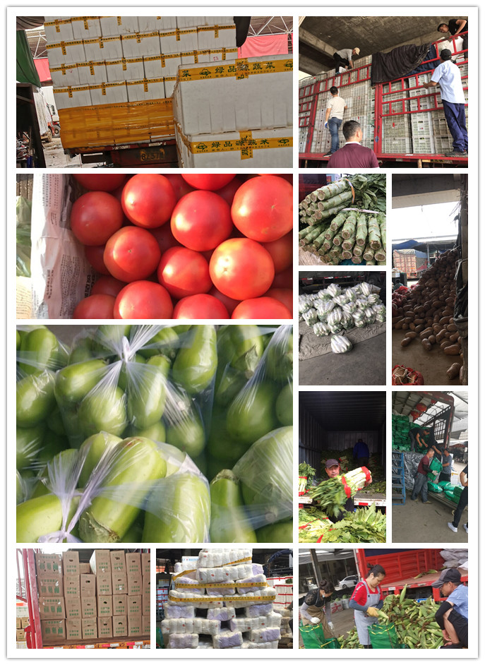 rb88随行版-rb88手机随行版登录入口