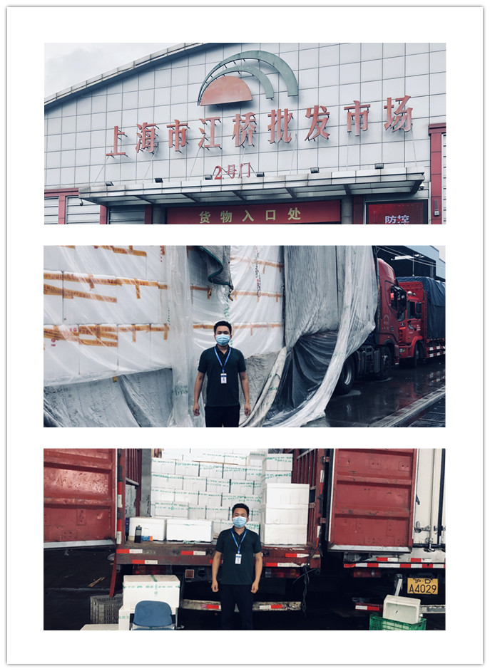 rb88随行版-rb88手机随行版登录入口