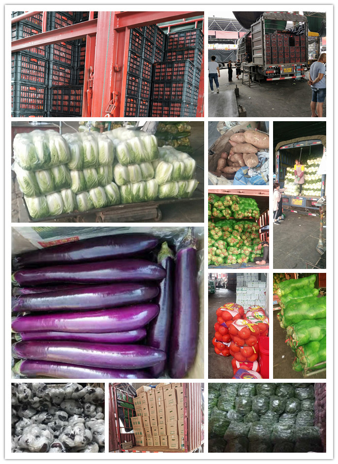 rb88随行版-rb88手机随行版登录入口