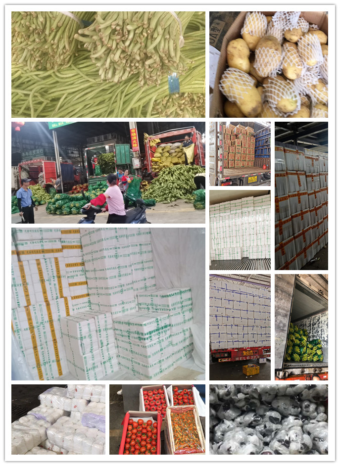 rb88随行版-rb88手机随行版登录入口