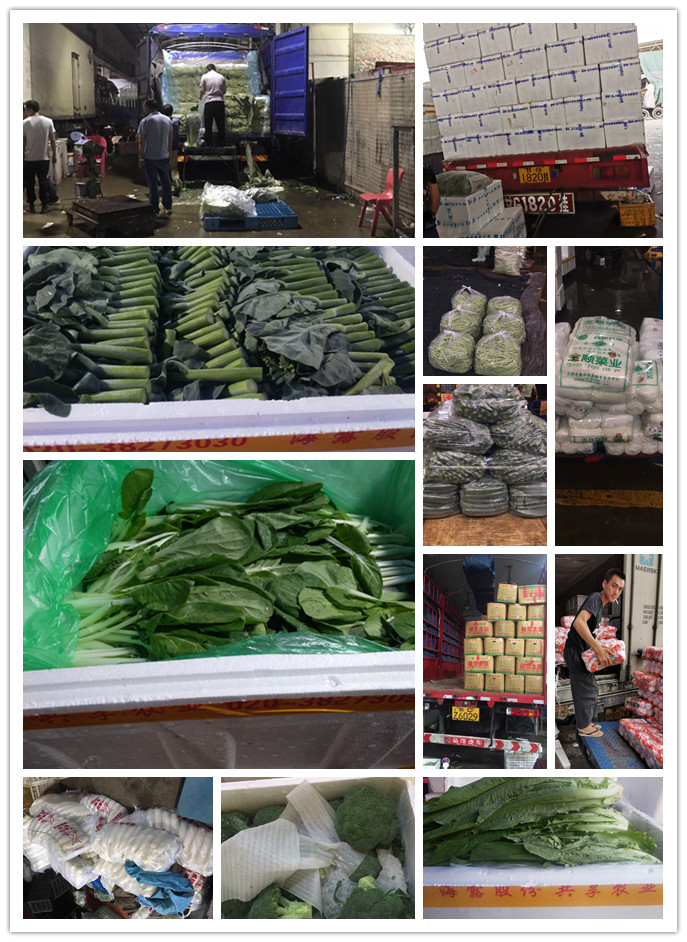 rb88随行版-rb88手机随行版登录入口