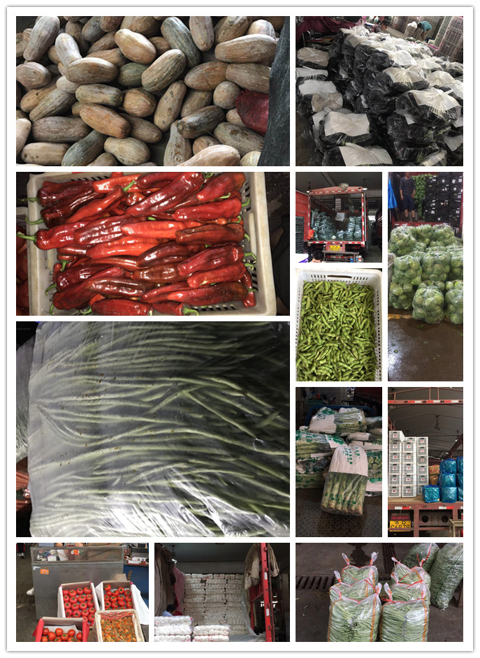 rb88随行版-rb88手机随行版登录入口