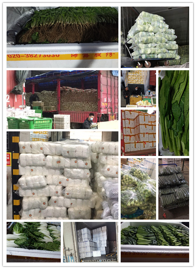 rb88随行版-rb88手机随行版登录入口