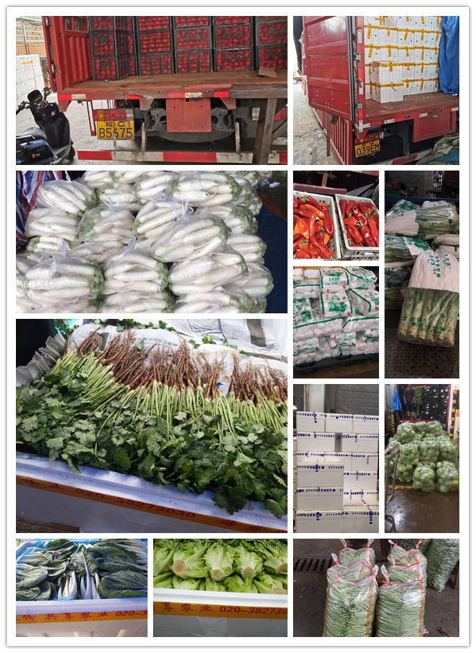 rb88随行版-rb88手机随行版登录入口