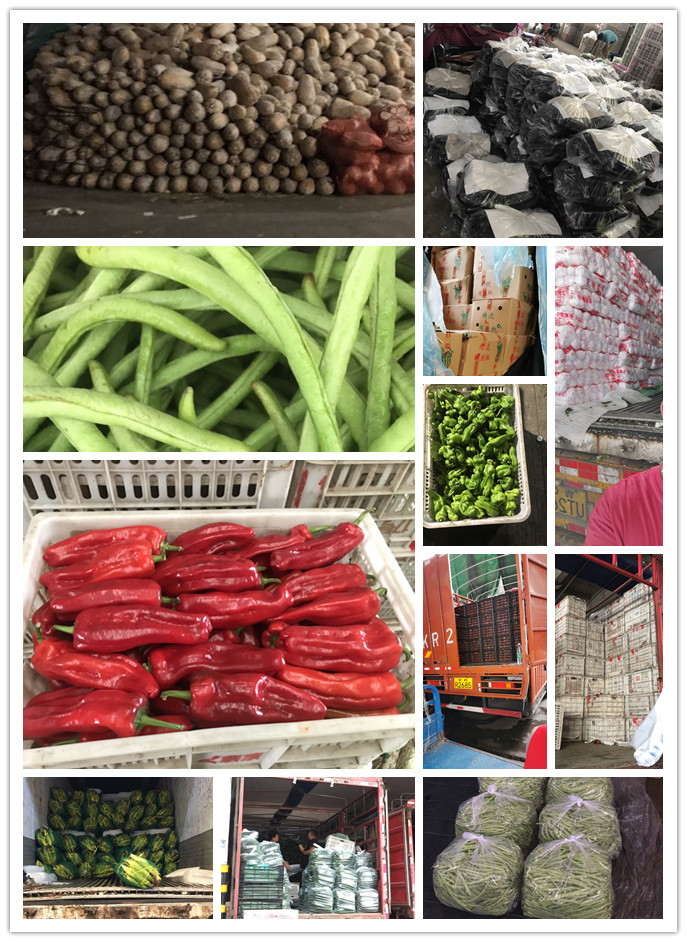 rb88随行版-rb88手机随行版登录入口