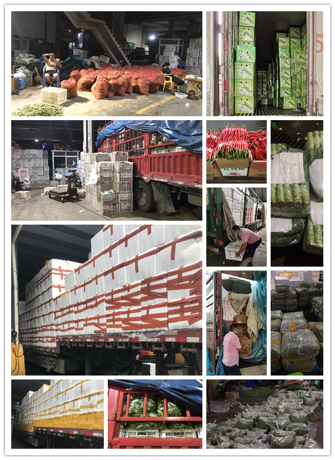 rb88随行版-rb88手机随行版登录入口