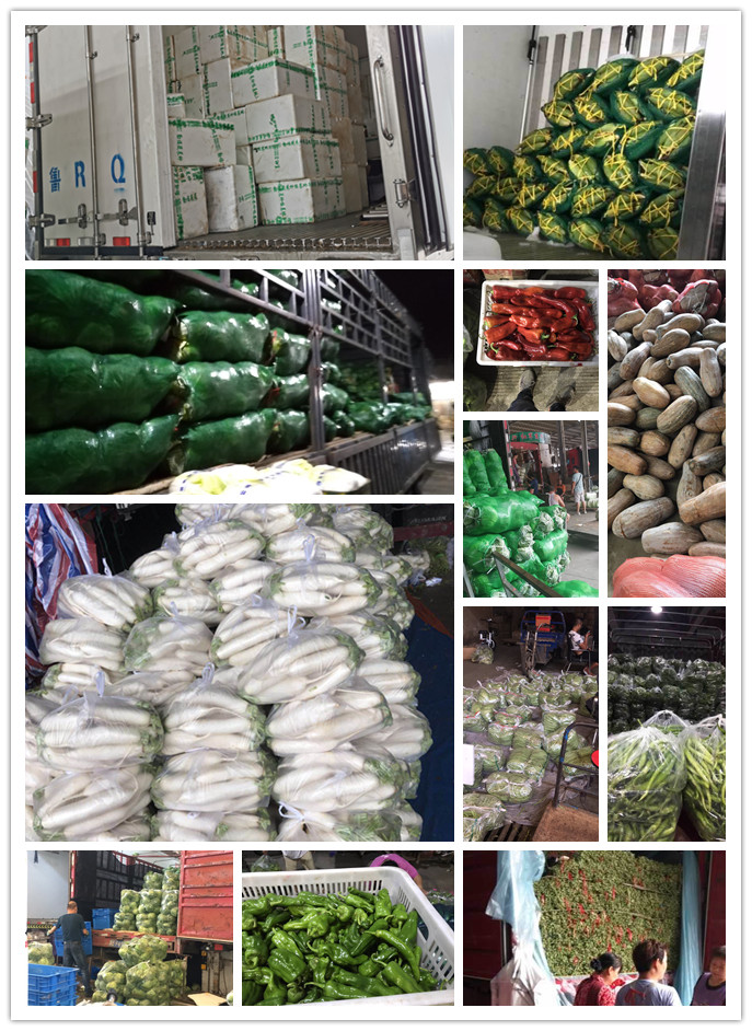 rb88随行版-rb88手机随行版登录入口