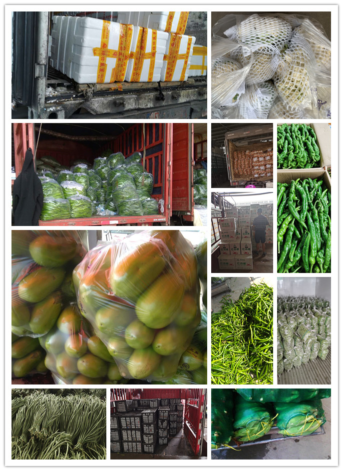 rb88随行版-rb88手机随行版登录入口