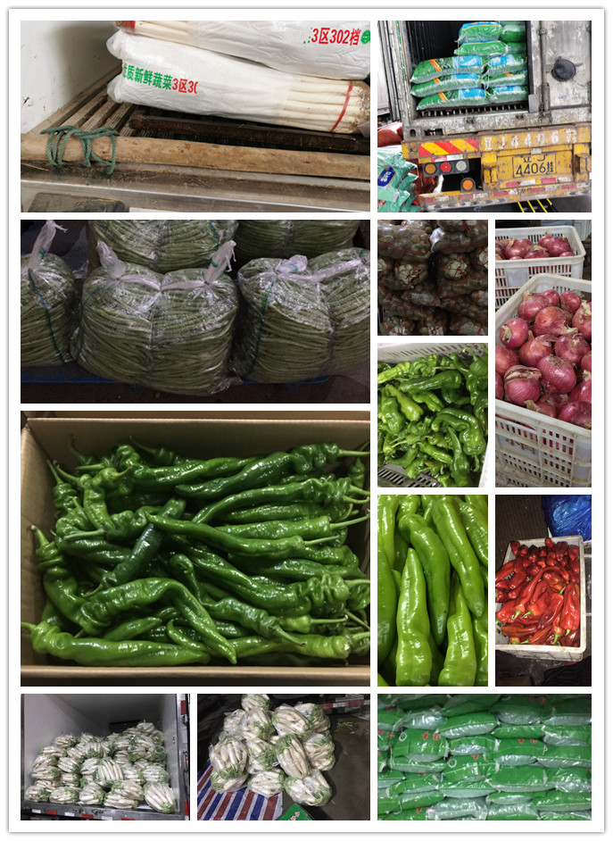 rb88随行版-rb88手机随行版登录入口