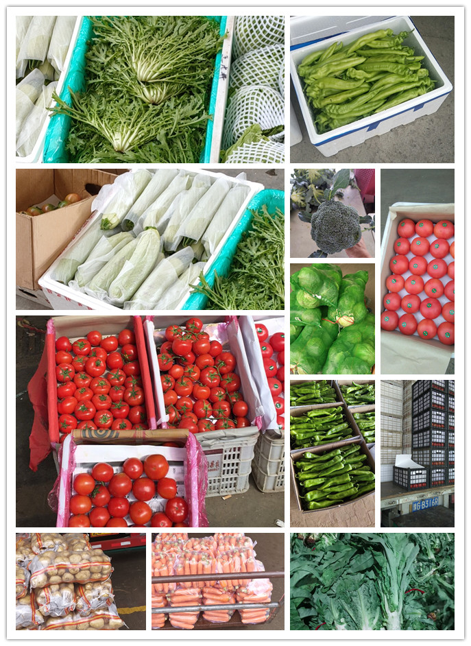 rb88随行版-rb88手机随行版登录入口