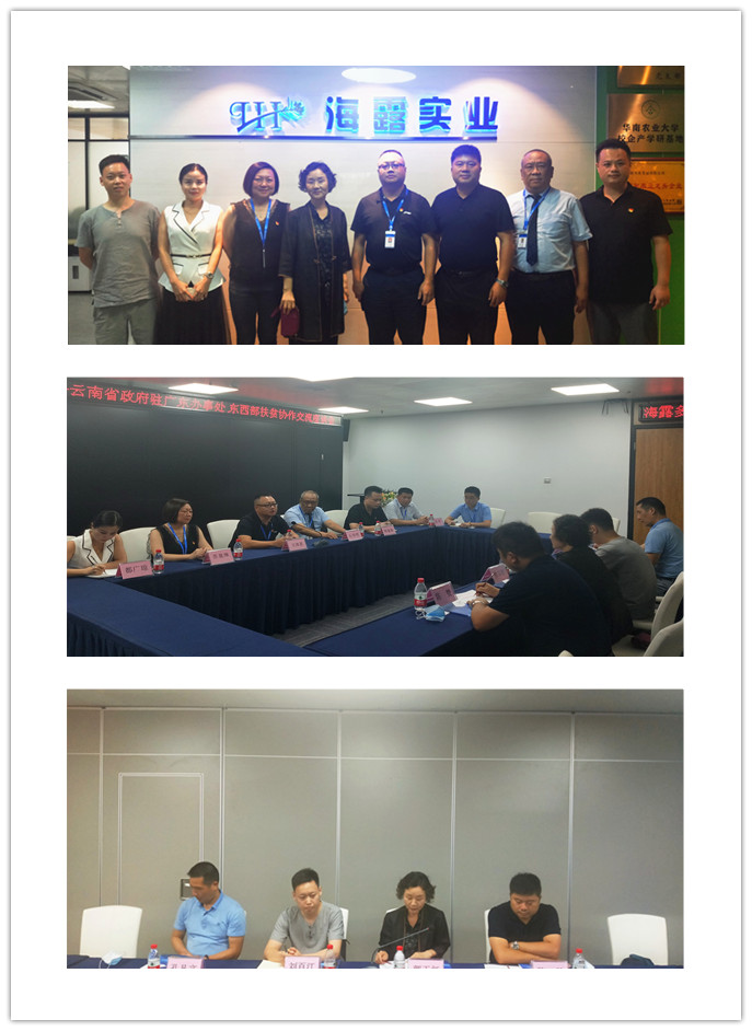 rb88随行版-rb88手机随行版登录入口