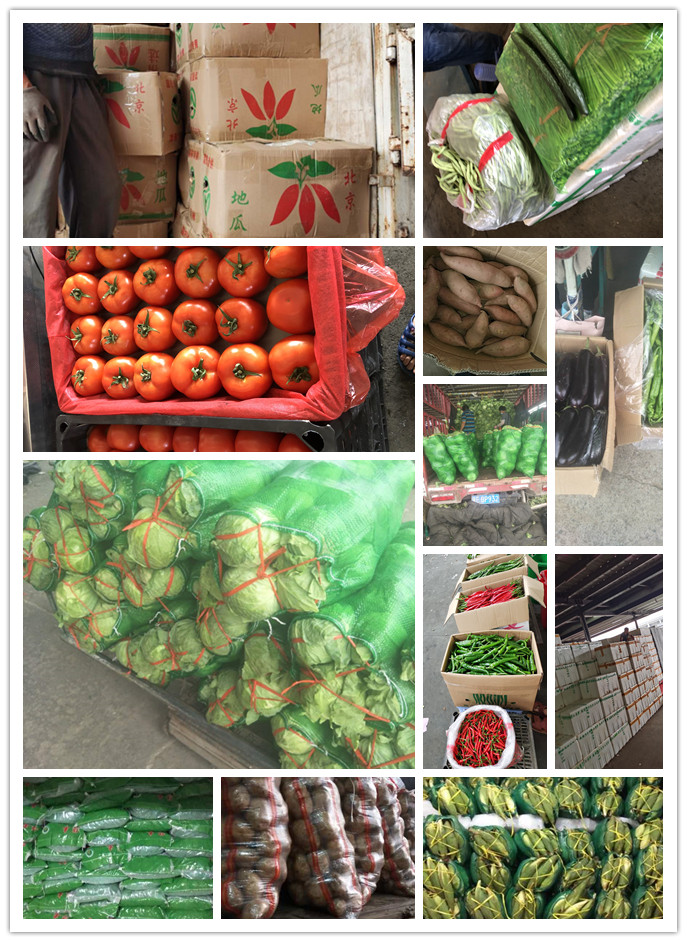 rb88随行版-rb88手机随行版登录入口