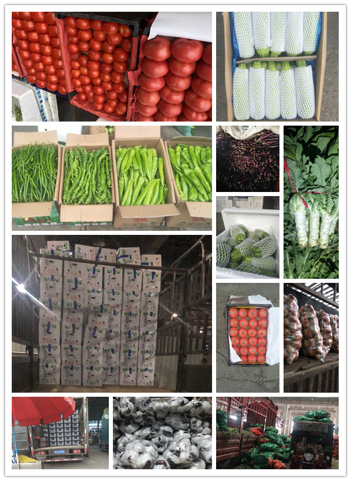 rb88随行版-rb88手机随行版登录入口