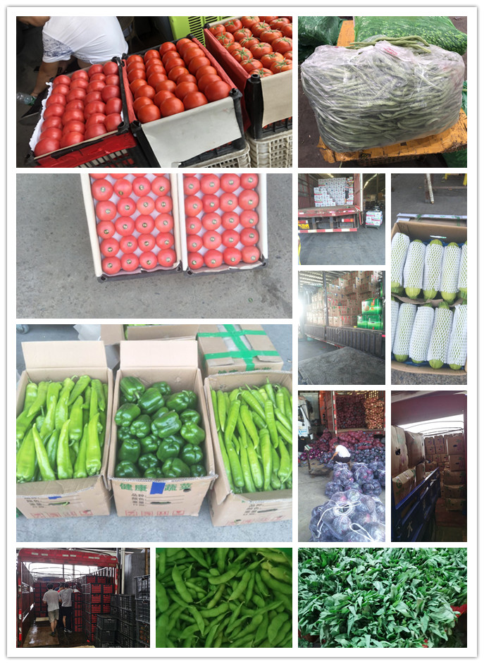 rb88随行版-rb88手机随行版登录入口