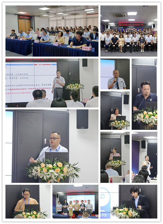 rb88随行版-rb88手机随行版登录入口