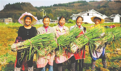 rb88随行版-rb88手机随行版登录入口