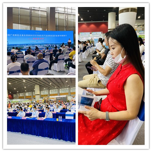 rb88随行版-rb88手机随行版登录入口