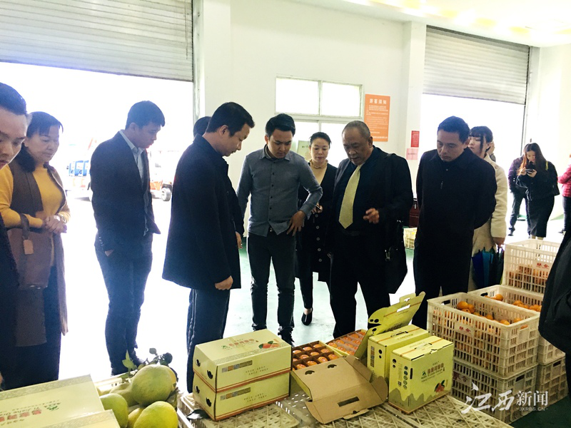 rb88随行版-rb88手机随行版登录入口