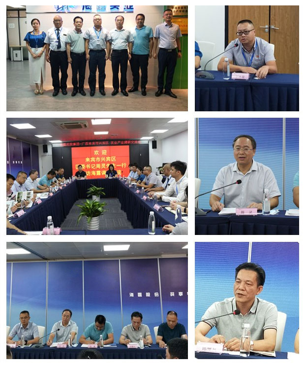 rb88随行版-rb88手机随行版登录入口