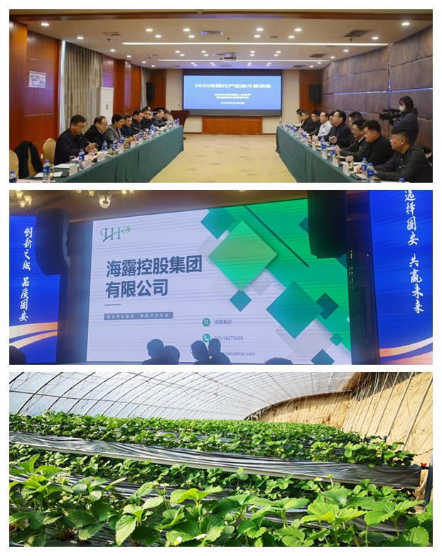 rb88随行版-rb88手机随行版登录入口